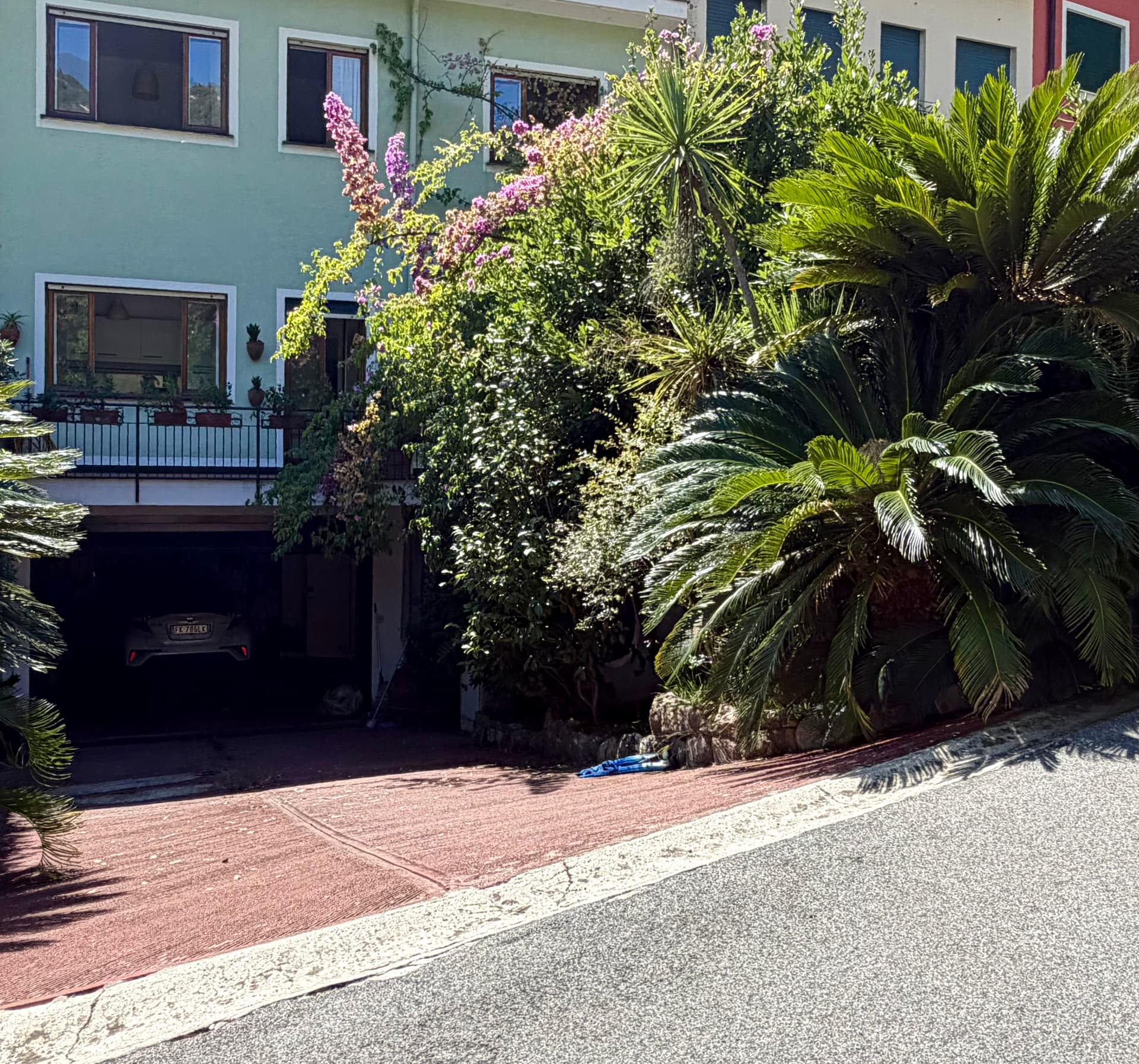 Exterior of Villa Maria Luisa among palms and bougainvillea