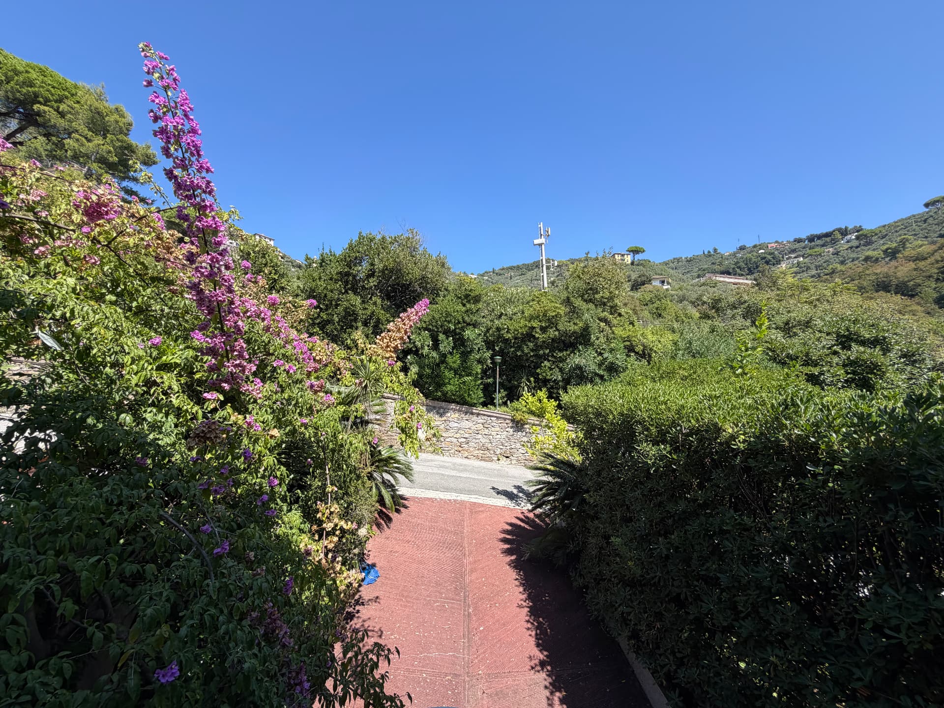 Gardens and grounds of Villa Maria Luisa