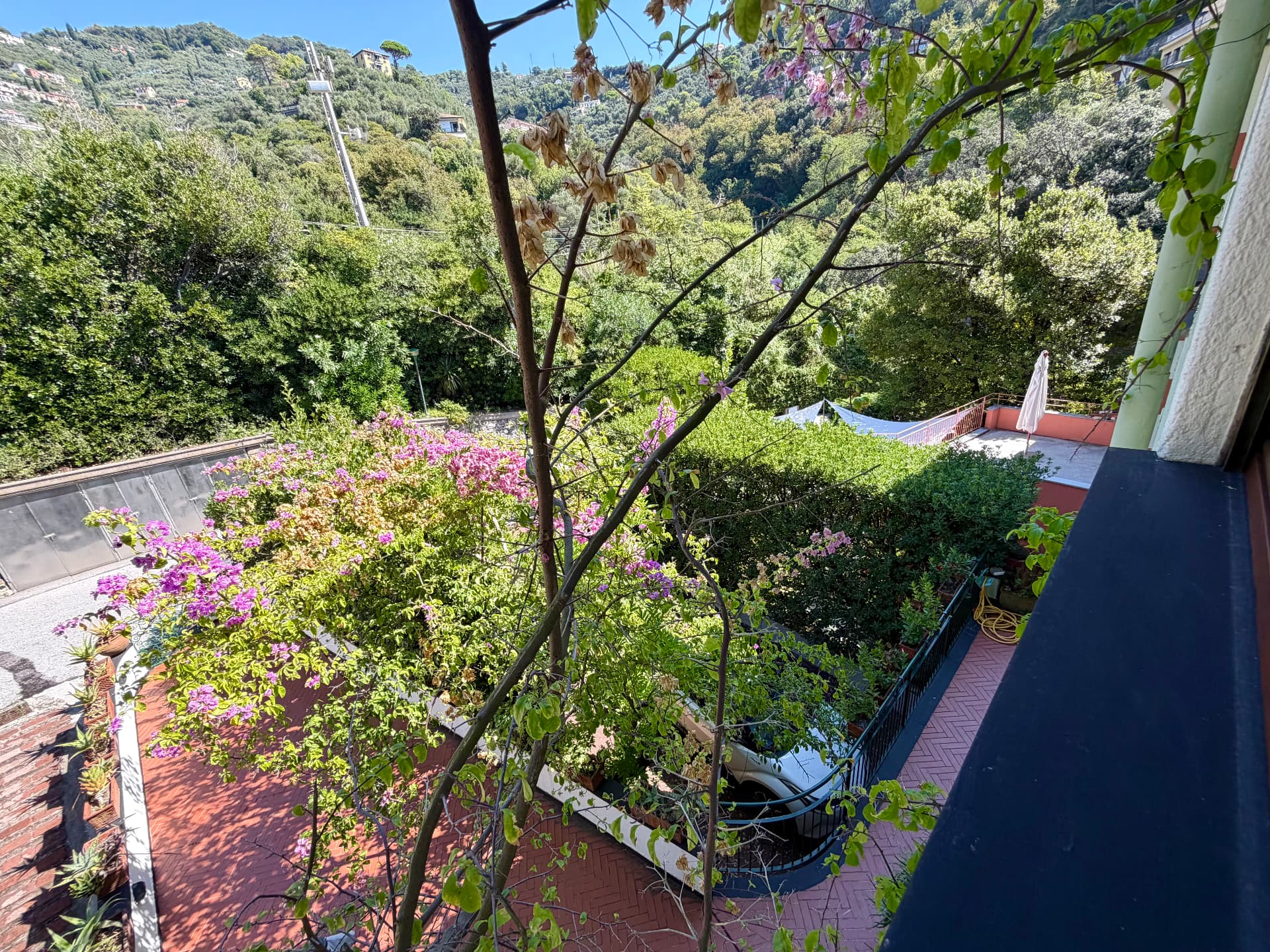 Gardens and grounds of Villa Maria Luisa
