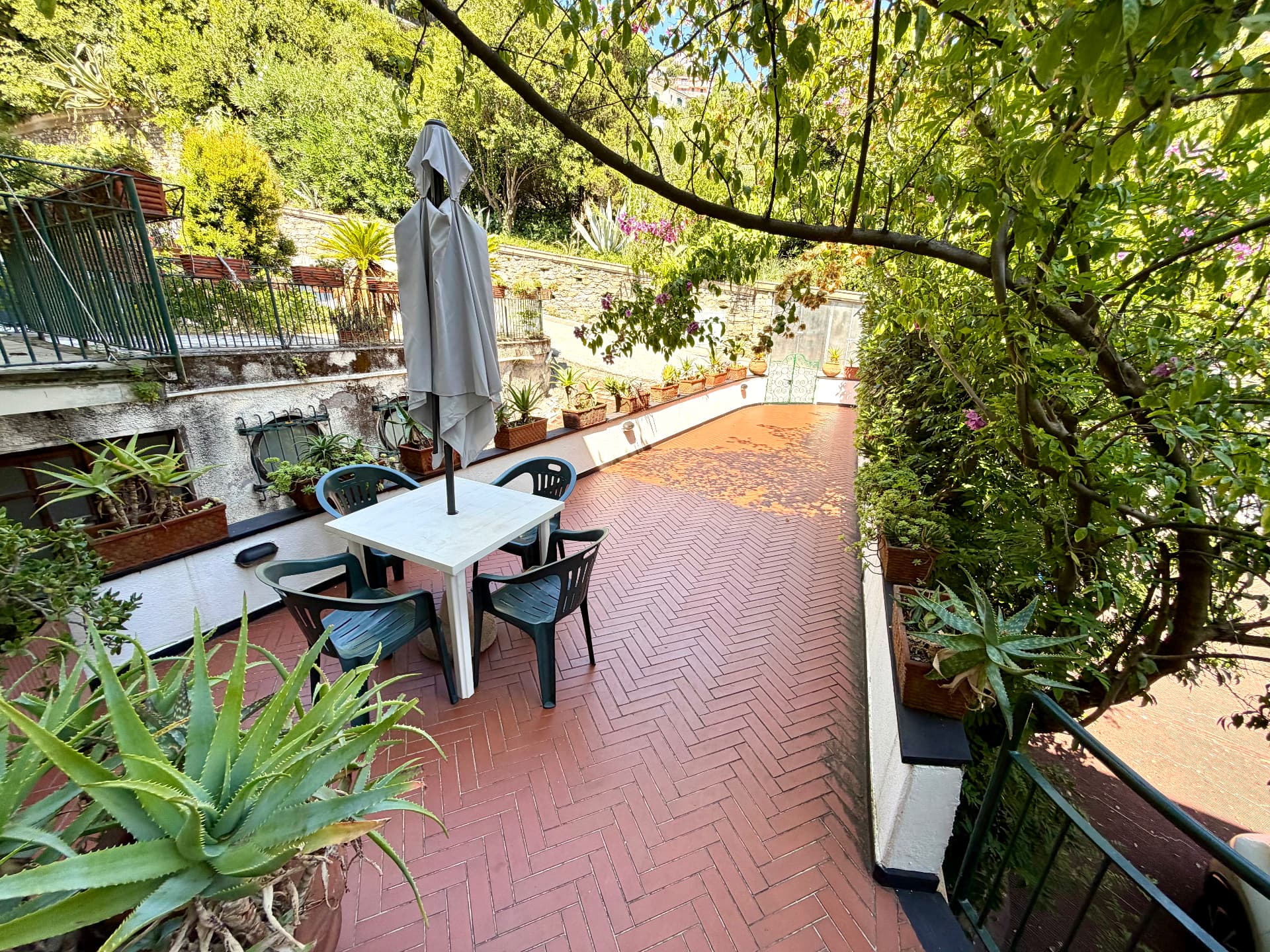 Gardens and grounds of Villa Maria Luisa