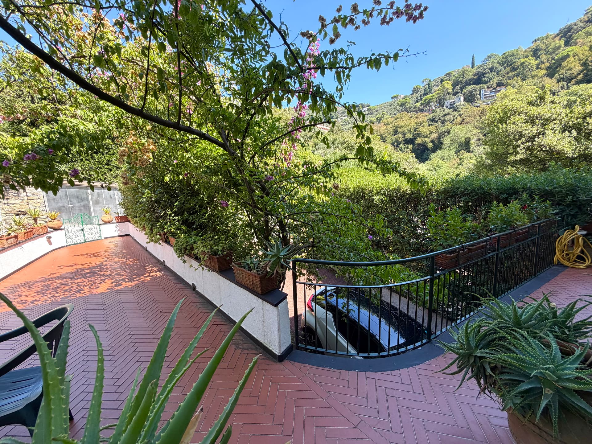 Gardens and grounds of Villa Maria Luisa