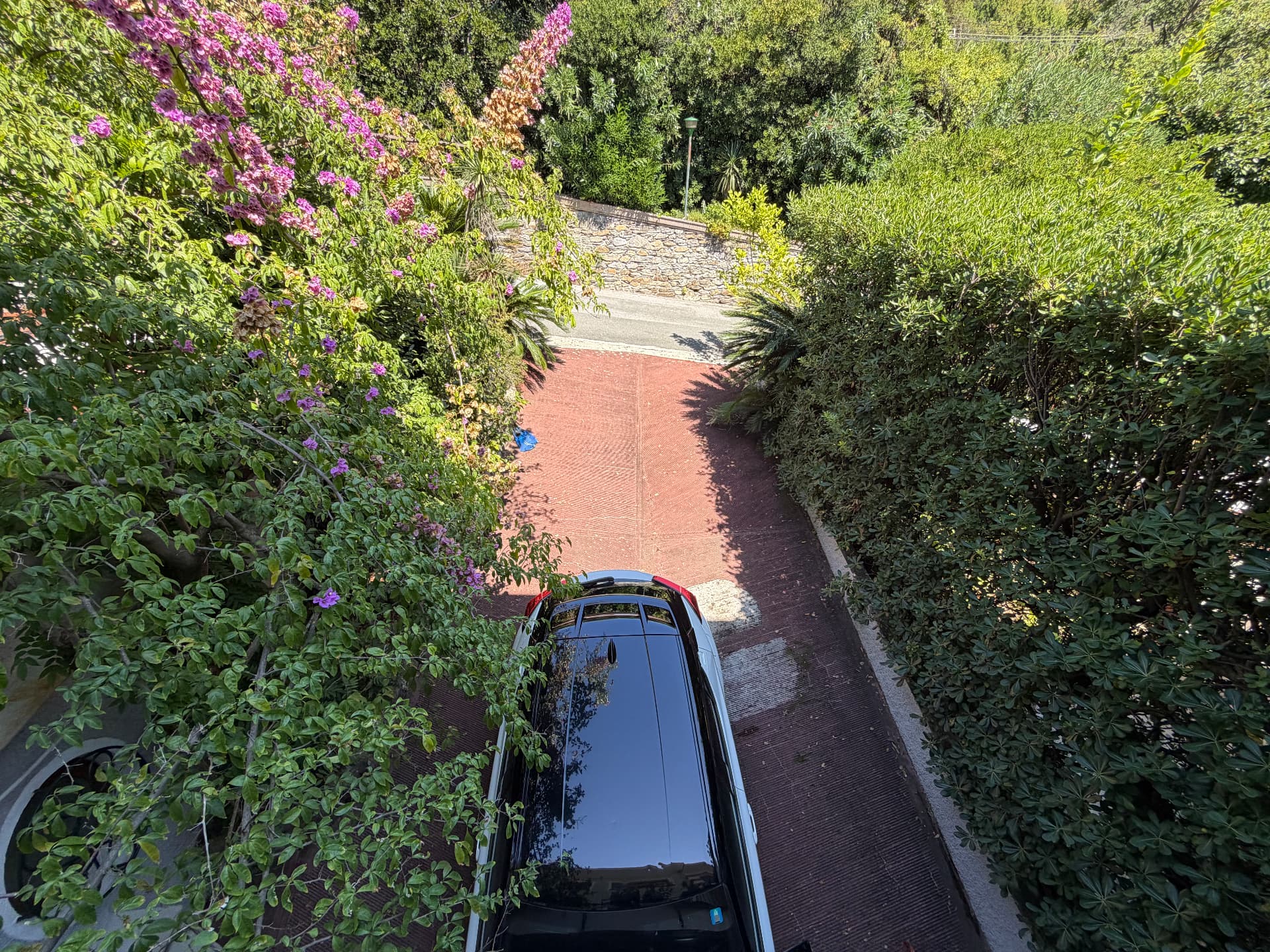 Gardens and grounds of Villa Maria Luisa