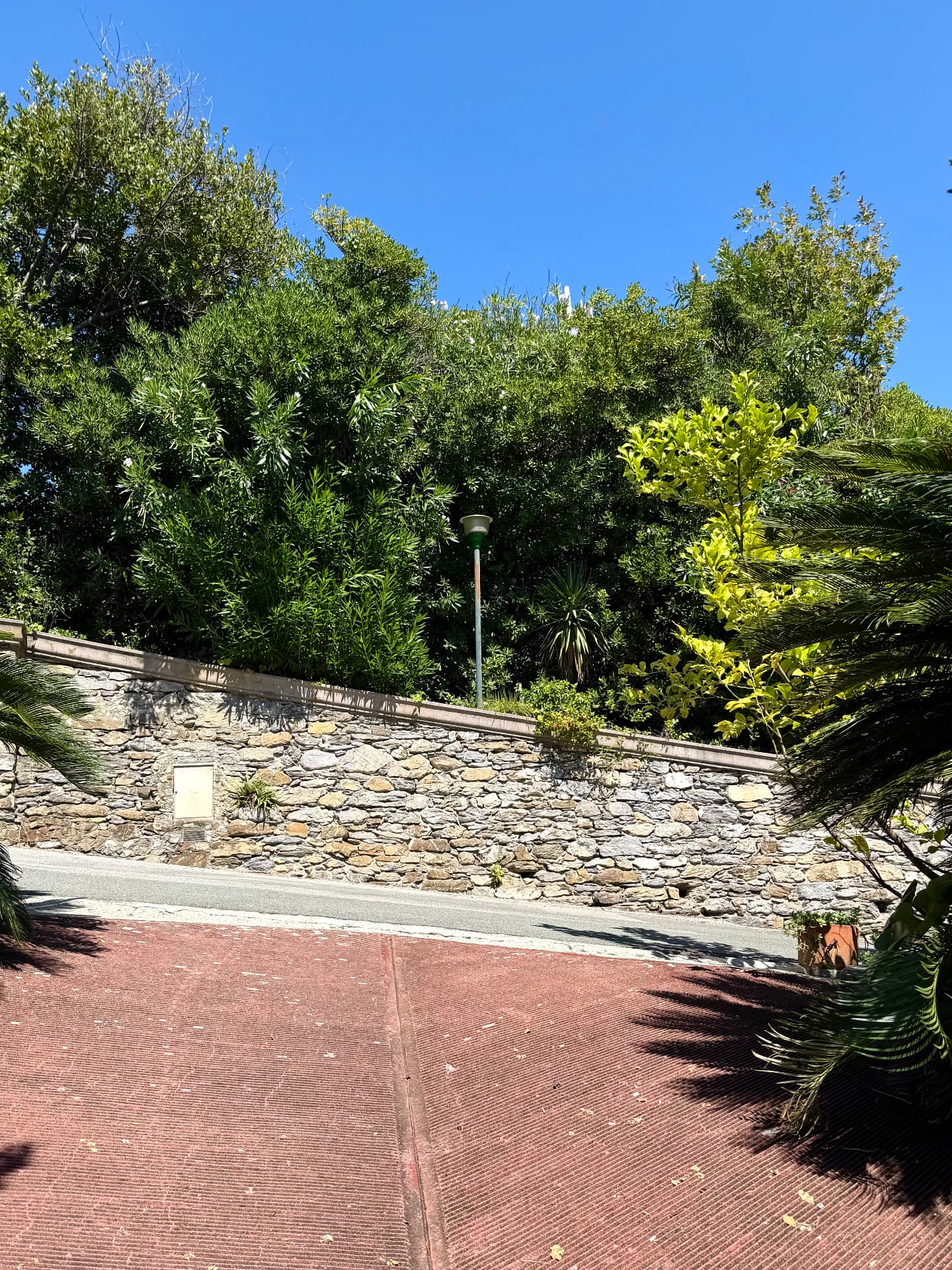Gardens and grounds of Villa Maria Luisa