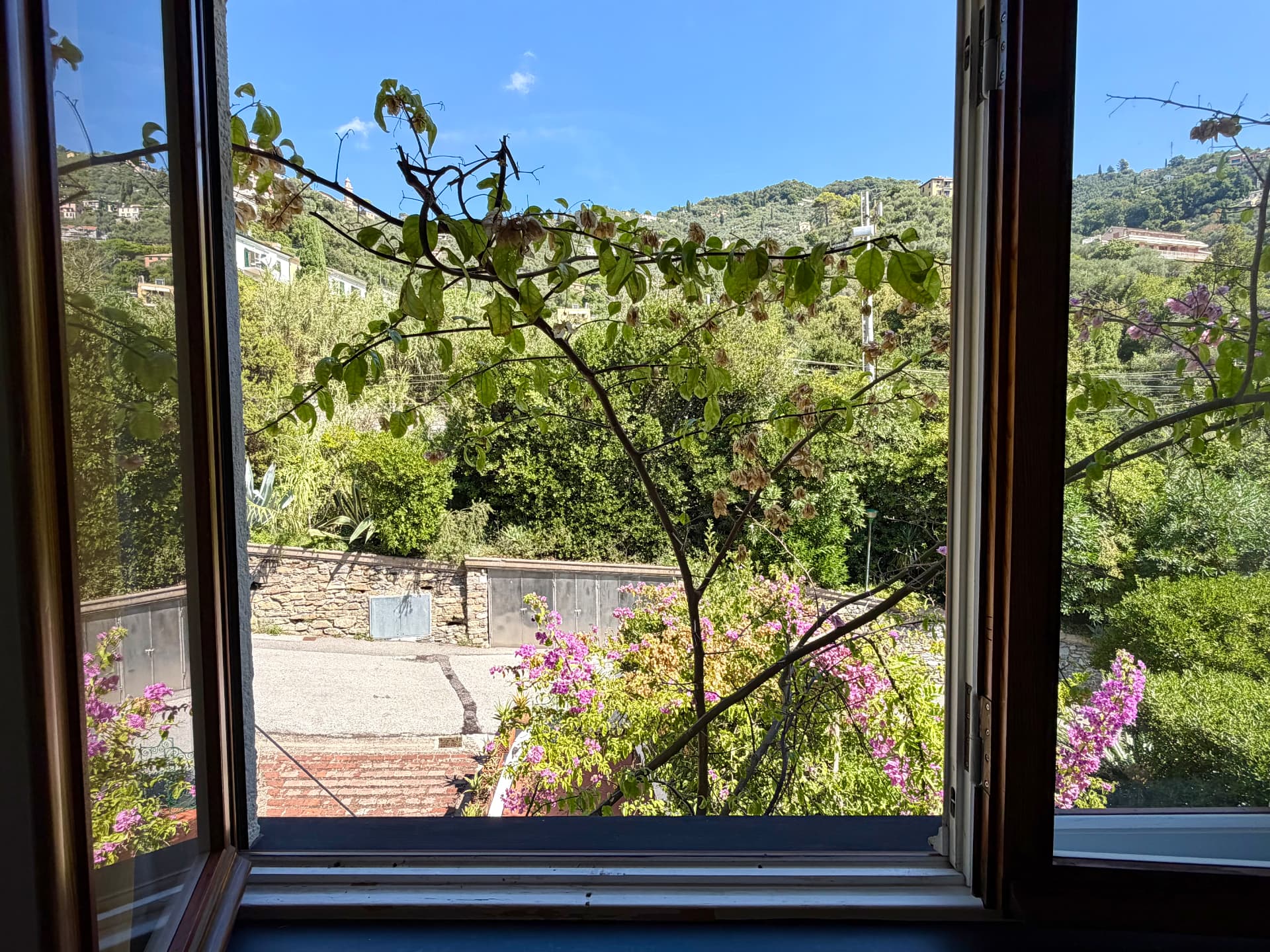 Gardens and grounds of Villa Maria Luisa