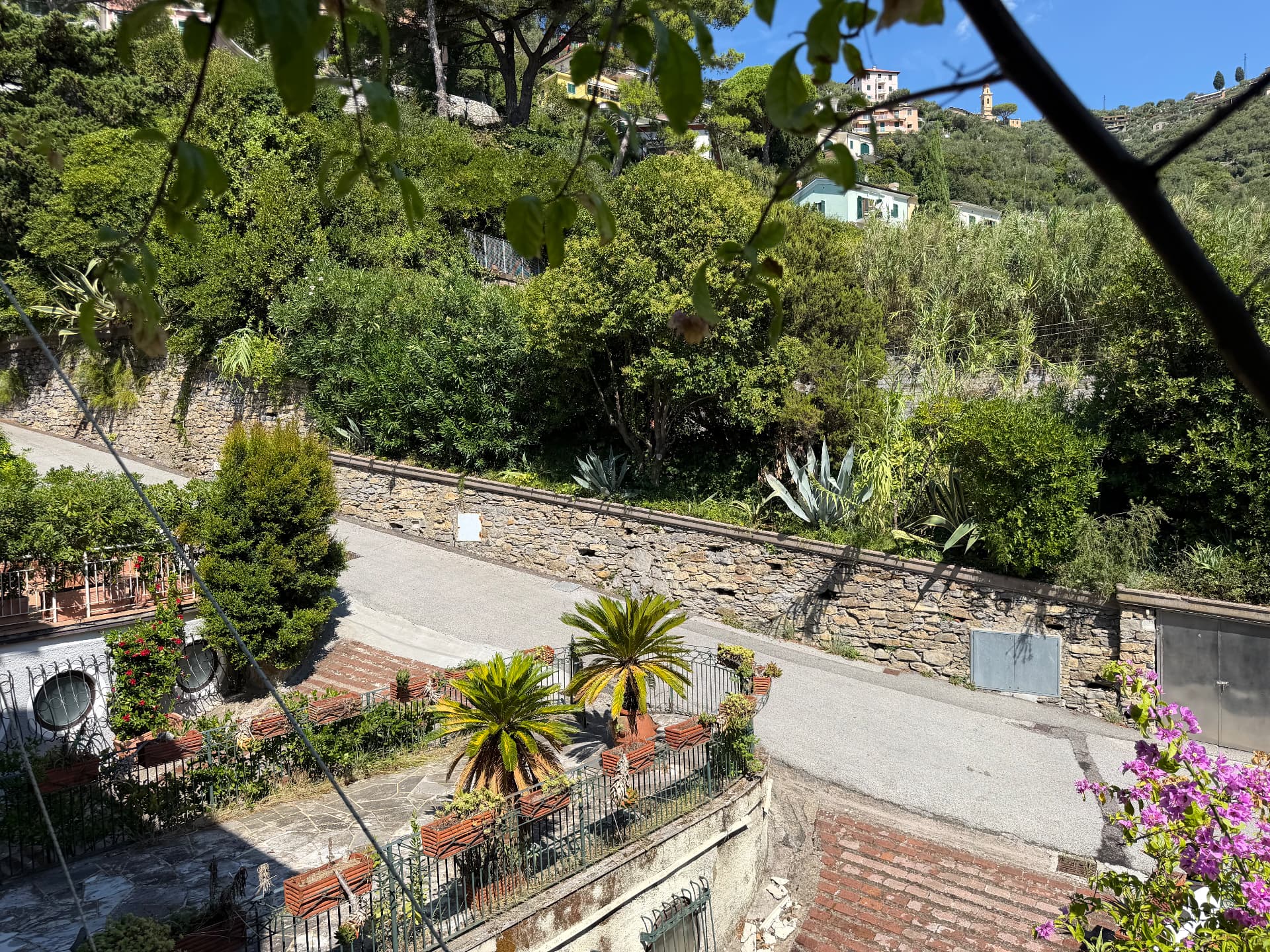 Gardens and grounds of Villa Maria Luisa